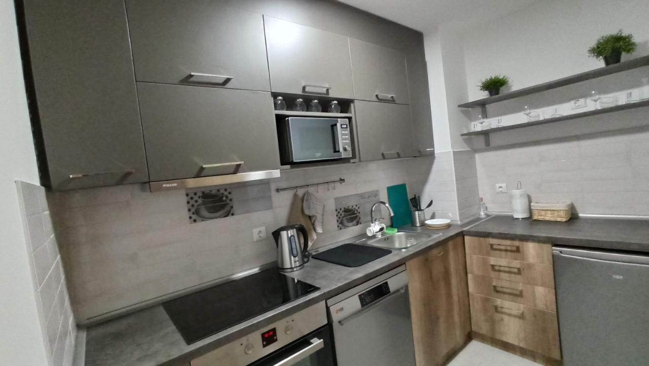 Luxury Apartments Parking In Garage นิส ภายนอก รูปภาพ
