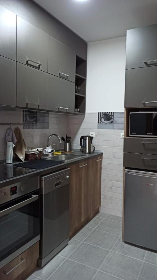 Luxury Apartments Parking In Garage นิส ภายนอก รูปภาพ